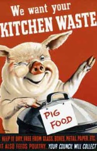 pig-food-poster