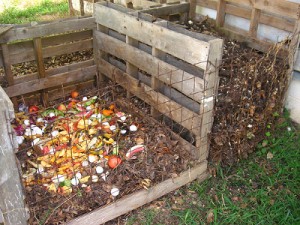 Compost Image for Kids Care Composting